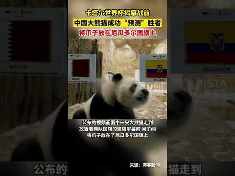 贵州足球,村超,新赛季启幕,九游会备用官网,九游会备用链接,九游会全站,九游会代理,九游会中心